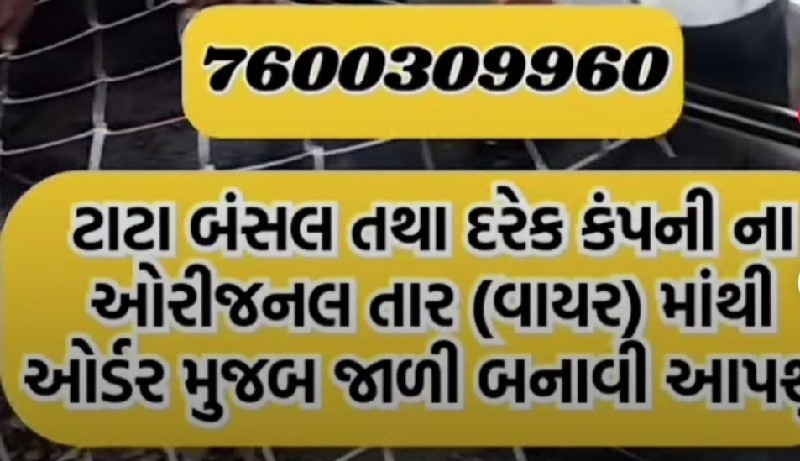 શું તમે પણ ભૂંડ...