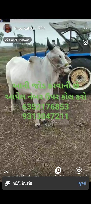 ફોટામાં છે એવો...