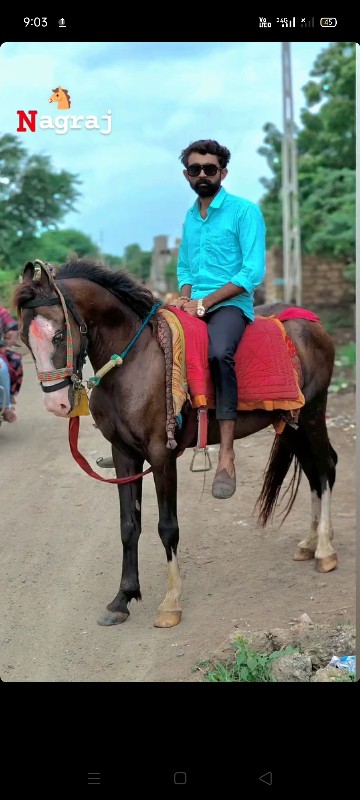 ઘૉડો વેચવાનો  છ...