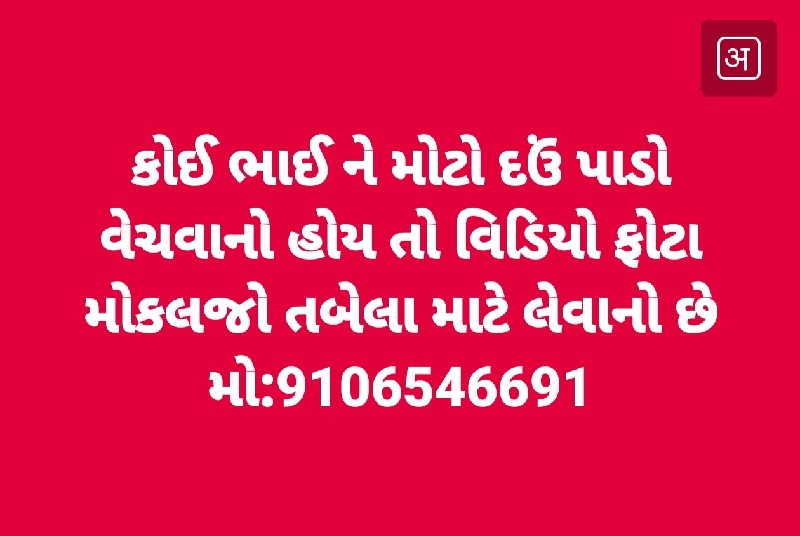 દઉં પાડો લેવાનો...