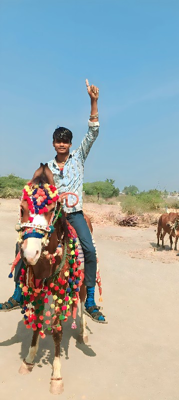 મોરવાડા ગામ