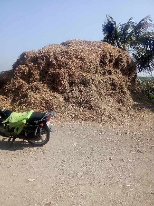 મગફળી નો પાલો વ...