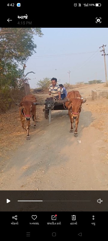 ઘોઢલાં વેચવા ના...