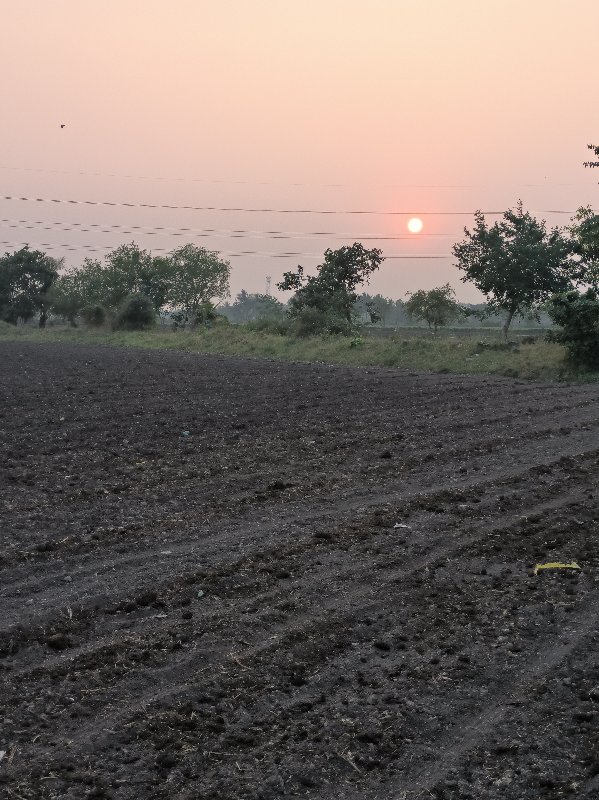 અડદ વેચવાના છે