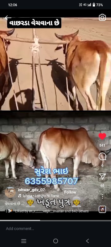 ગૉઢલા