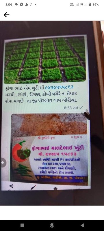 શાકભાજી રોપા વે...