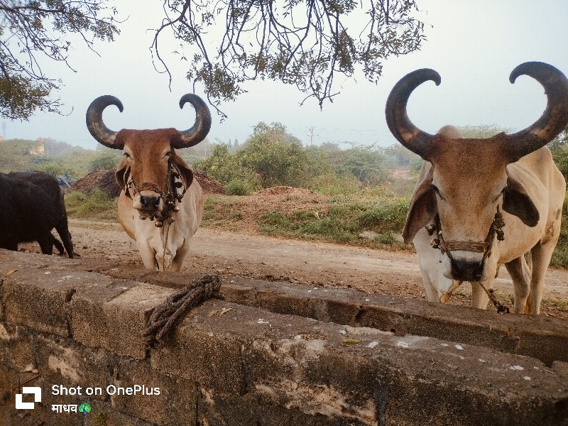 3જી ધર