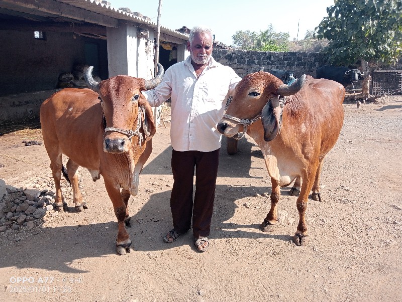 વેચવાના સે