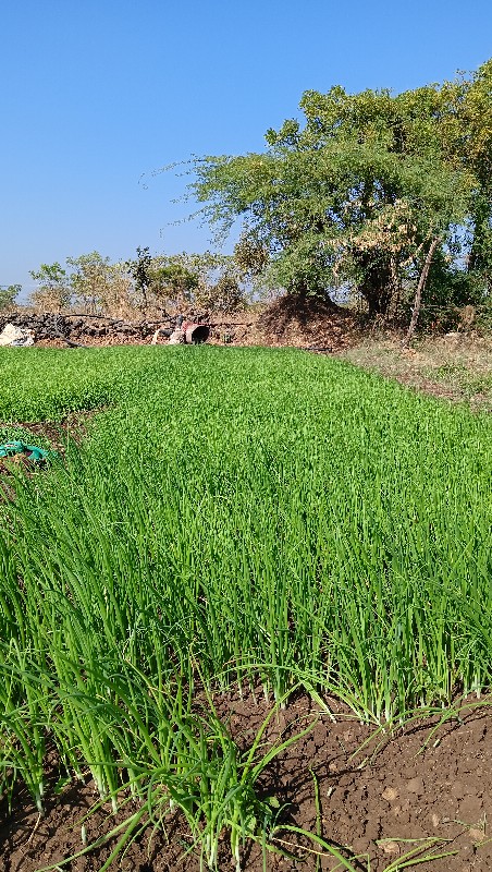 ડૂગરીનો રોપ વેસ...