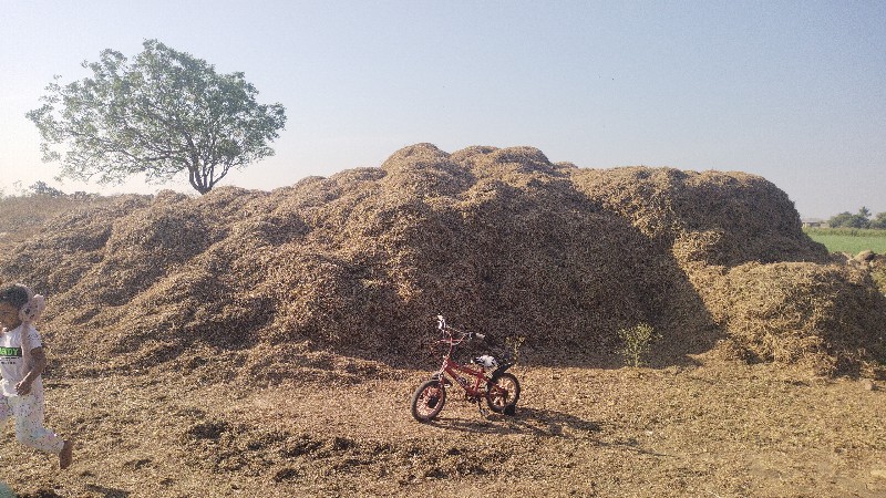 ભુકો વેચવાનો‌ છ...