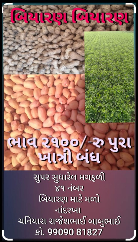 બિયારણ વેચવાનું...