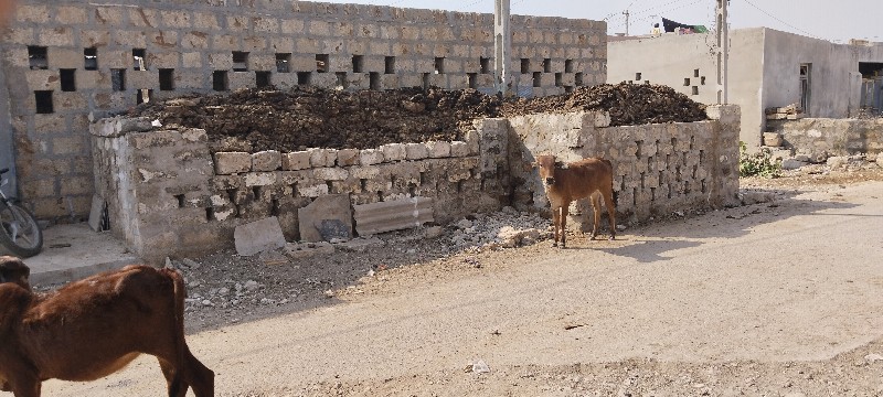 ખાતર