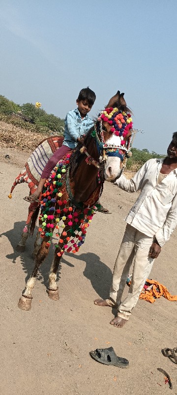 મોરવાડા ગામ