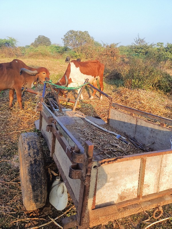 બડદ ગાડું