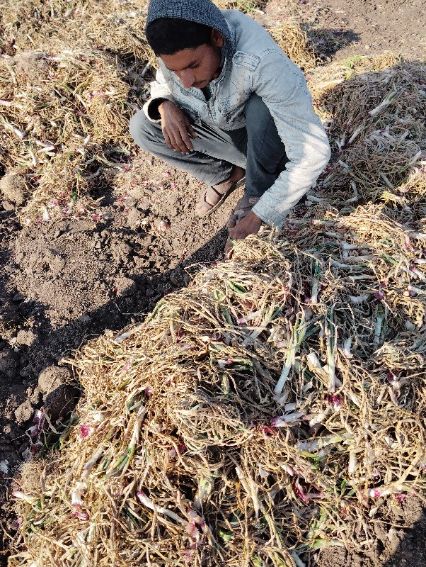 ડુંગળી ના લોદર