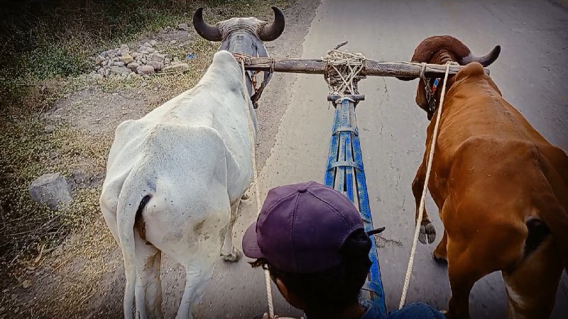 પરણી પાવર ટોટલ...