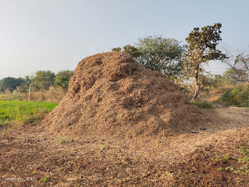 માંડવિયુ વેચવાન...