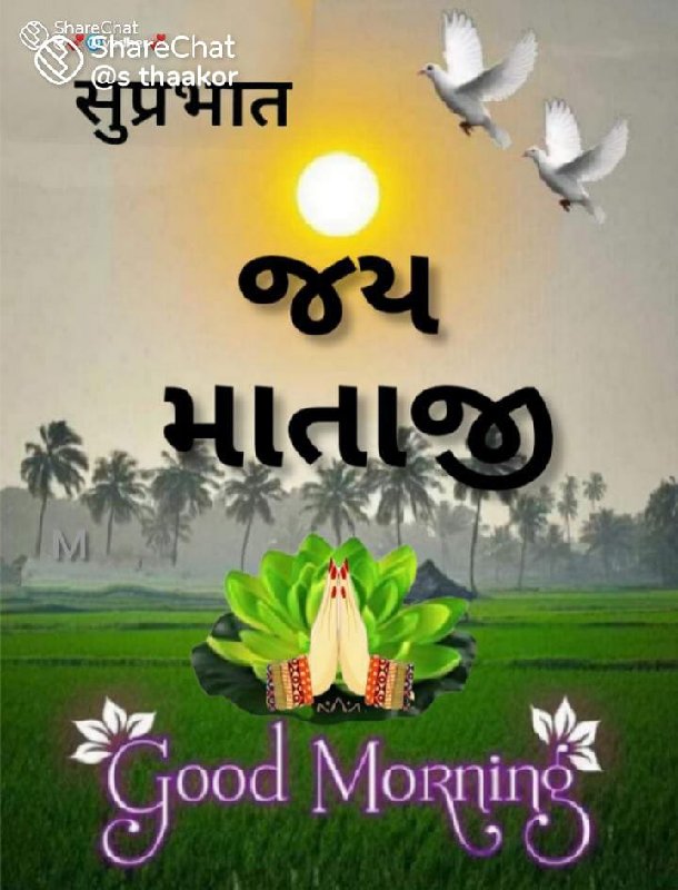 ગિર