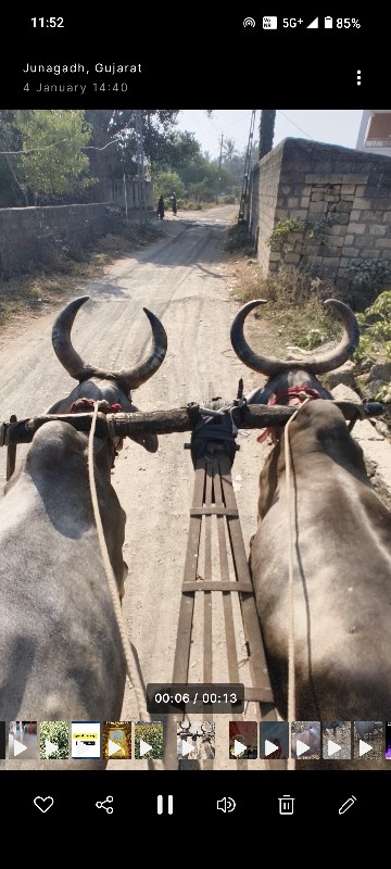 બીજી ધર ના બલધુ...