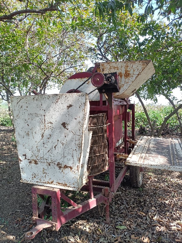 માર્ટીન થેસર