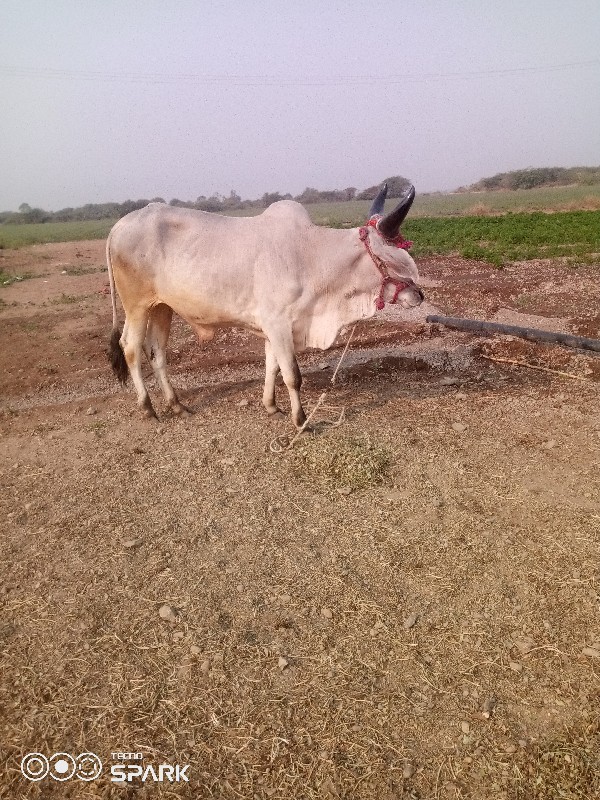 વેચવાનુછે