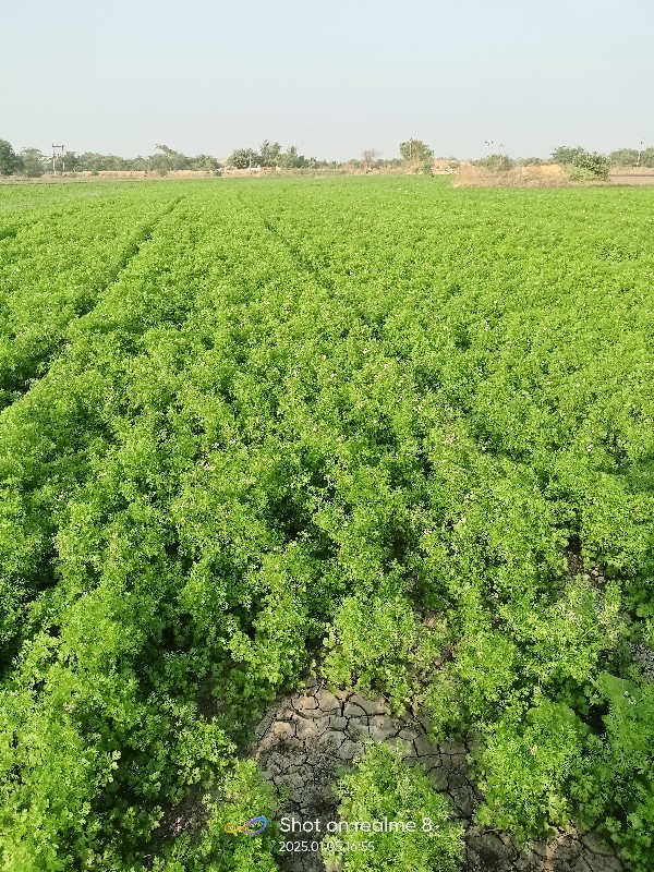 જમીન વેચવાની છે...