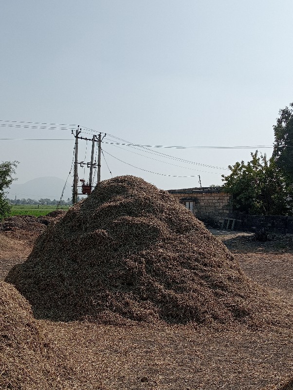 મગોટુ વેચવાનું...