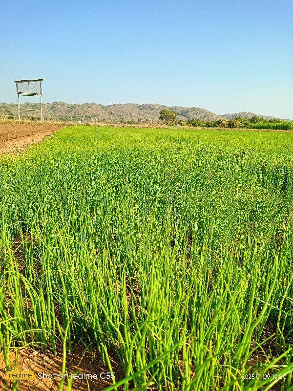 પીડીપતિ ડૂગરિ ન...