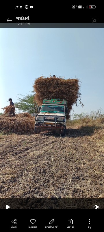 શુંકી.જુવાર.