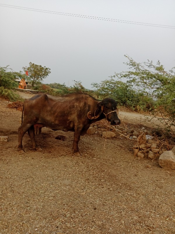 ટોટલ જવાબદારી દ...