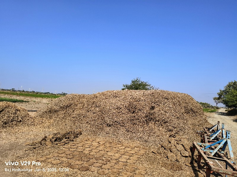 મગફળી નો ભૂકો