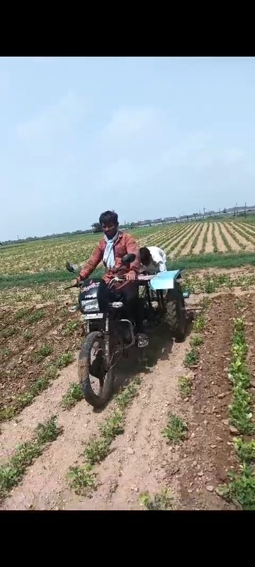 સનેડો વેશવાનો સ...