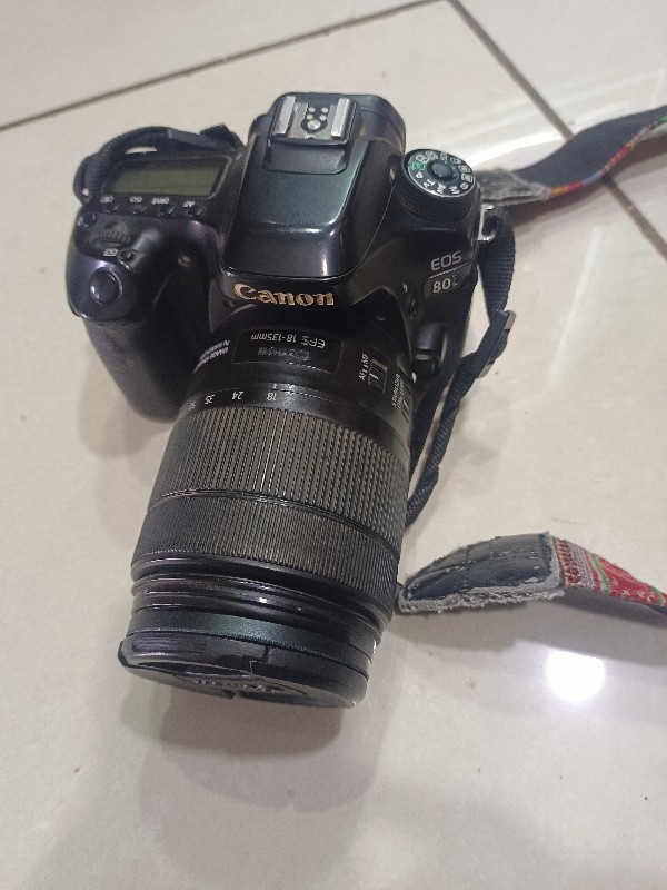 Canon 80d