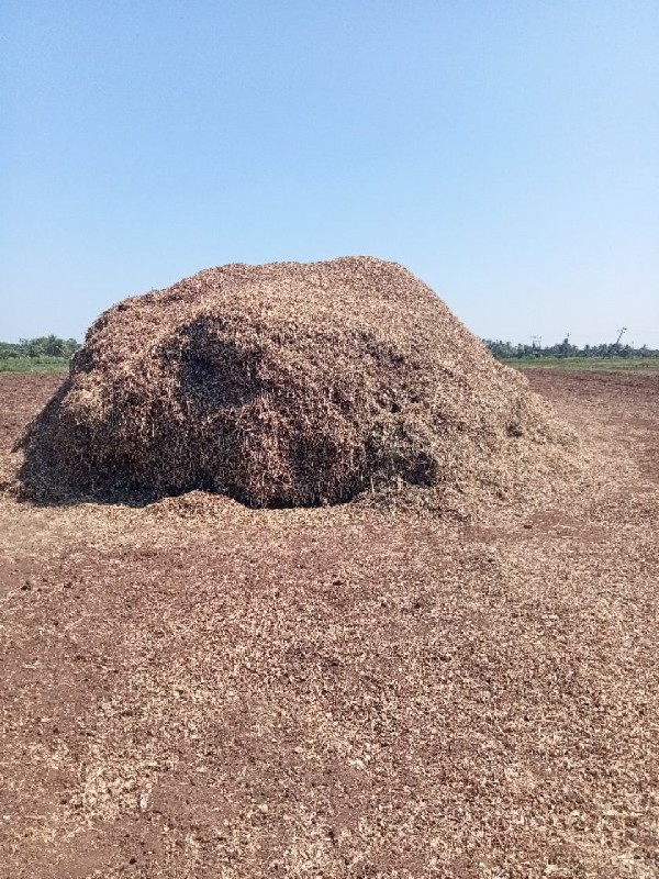 માડવીયુ વેચવાનુ...