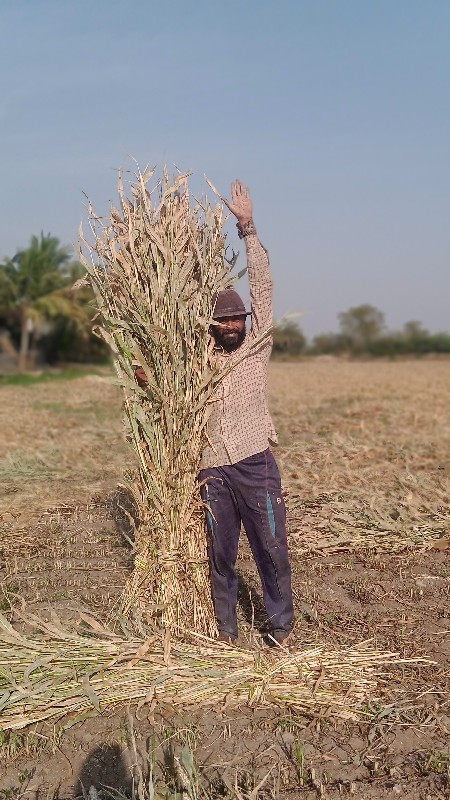 નીરાન વેચવાની છ...