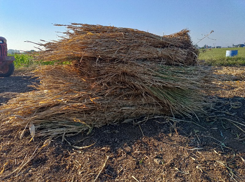 નીરણ વેચવાની છે