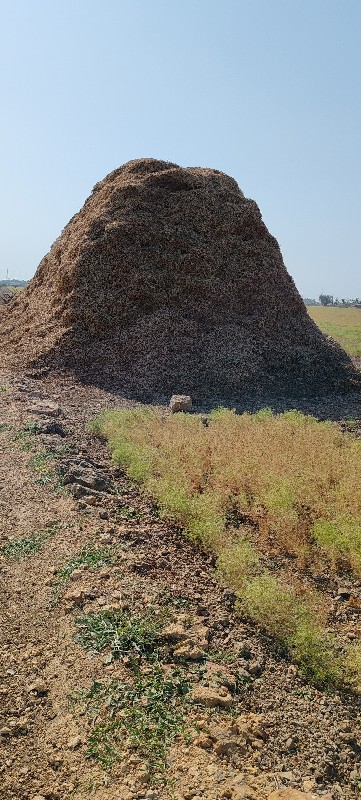 ભૂકો