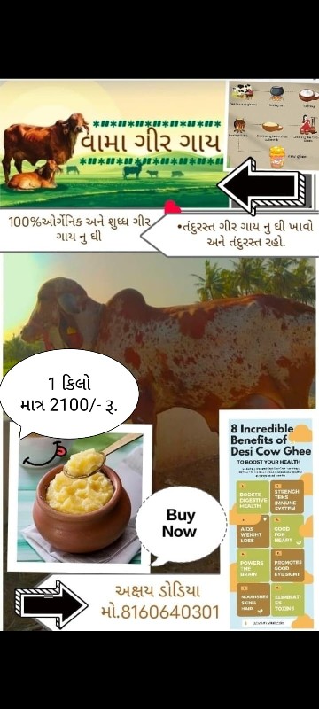 ગીર ગાય નું ઘી....