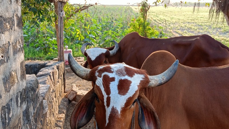 જવાબદારીથી આપવા...