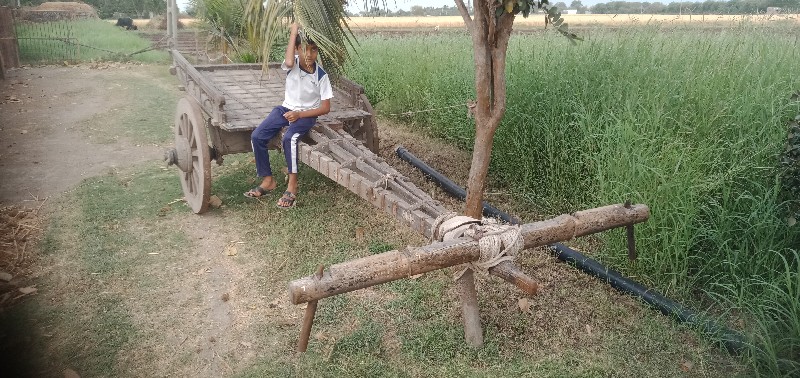 ગાડું શીશમનુ વે...