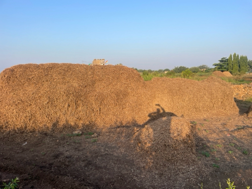 તુવેર નો ભૂકો અ...