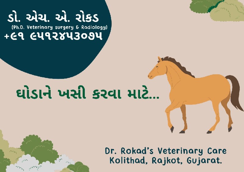 અશ્વોની સારવાર....