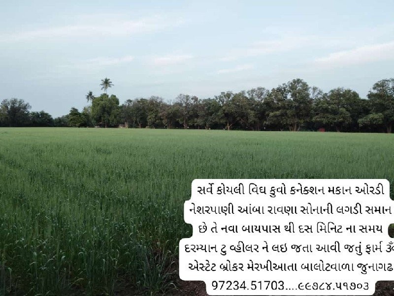 ઝાંઝરડા ચોકડી થ...