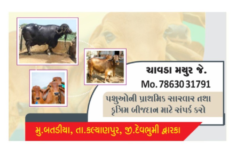 બીજદાન: પ્રાથમિ...