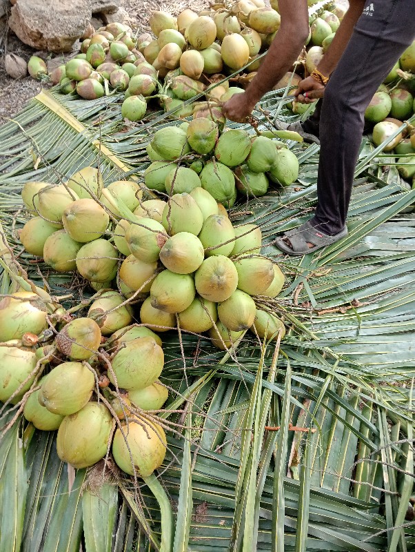 નાર્યલી