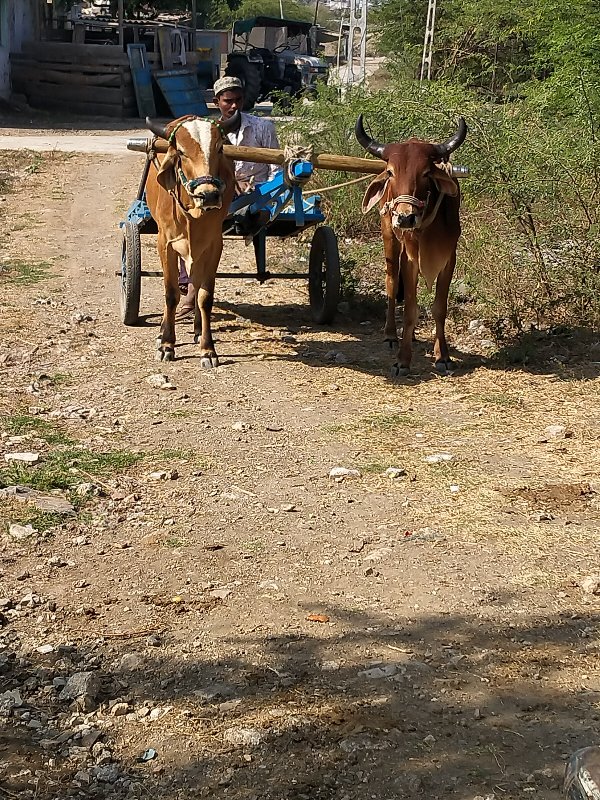 16000 રૂપિયા કિ...