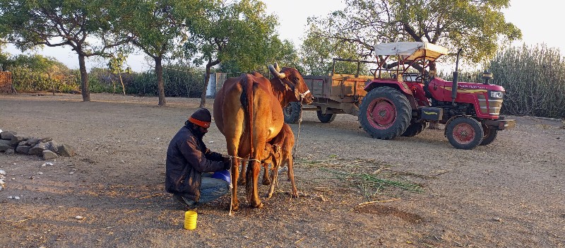 બળઘ લેવાના છે ત...