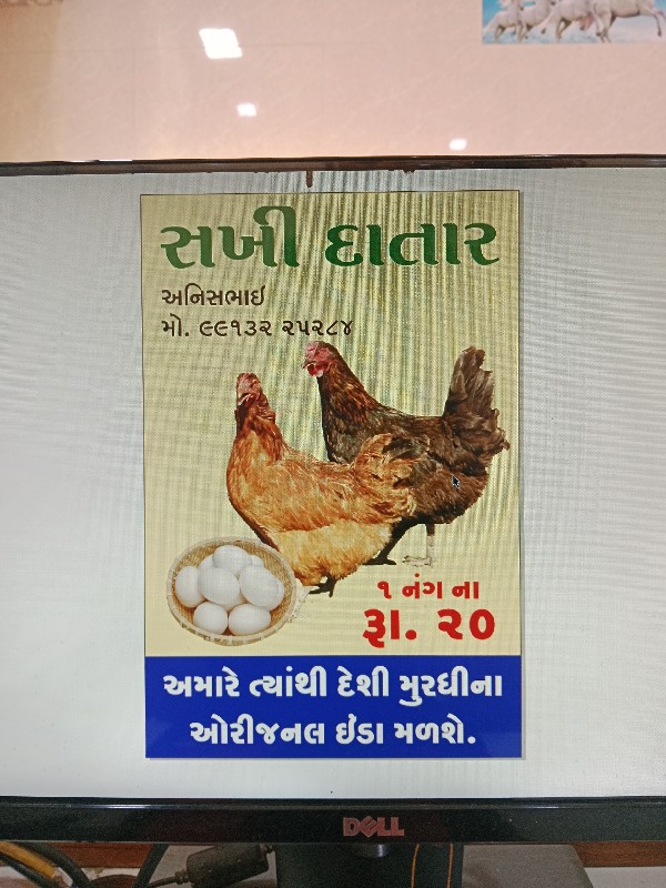 દેશી મુરઘી ના ઓ...