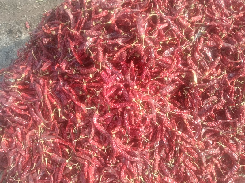 lal mirchi