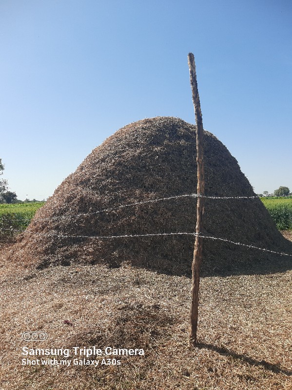 મગફળી ભુકો